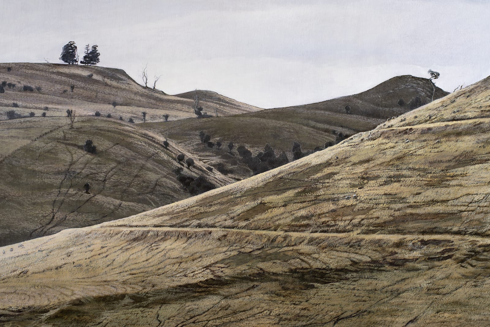 Stephanie Tabram, Towards Tor Hill, 2019