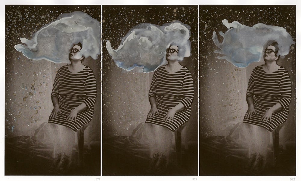 Sally Rees, The Medium frames 571 - 573, 2012