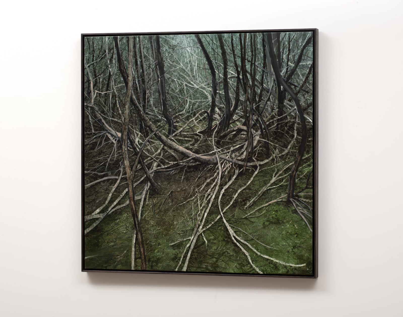 Nicholas Blowers, Narcissus, Lake St Claire, 2021
