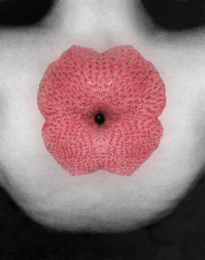 Pat Brassington, Blush, 2014