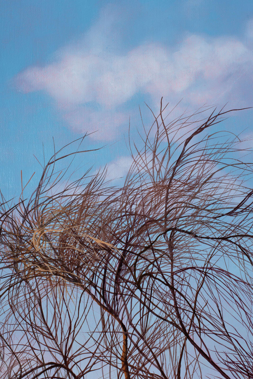 David Keeling, Pink sky in the morning, 2022