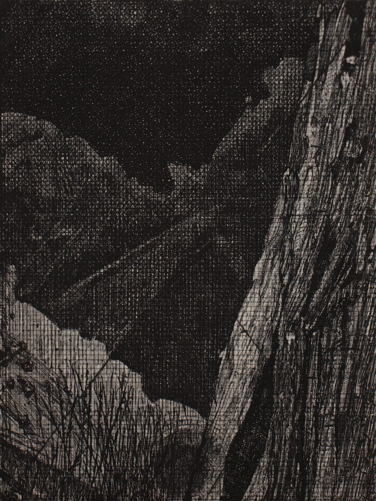 Raymond Arnold, Elsewhere World Fragment No 35 6th state, 2019