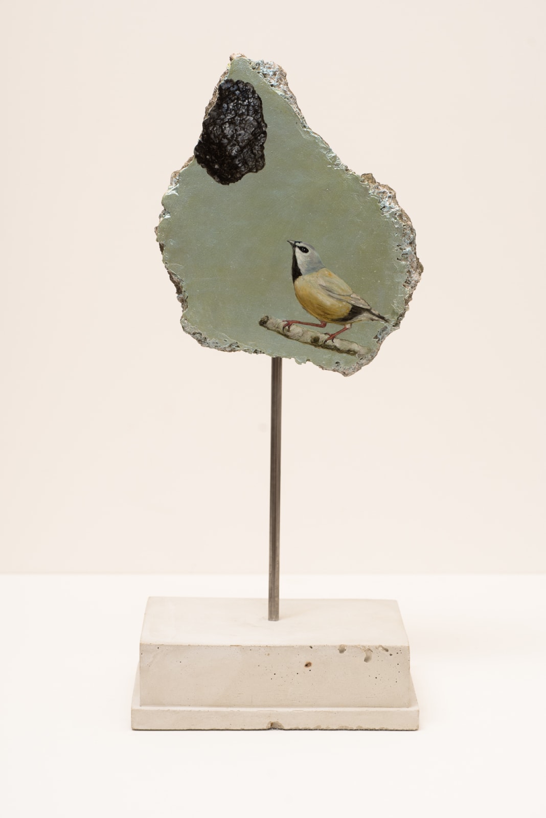 Helen Wright, The Black Throated Finch meets Adani (Channelling My Inner Goya), , 2019