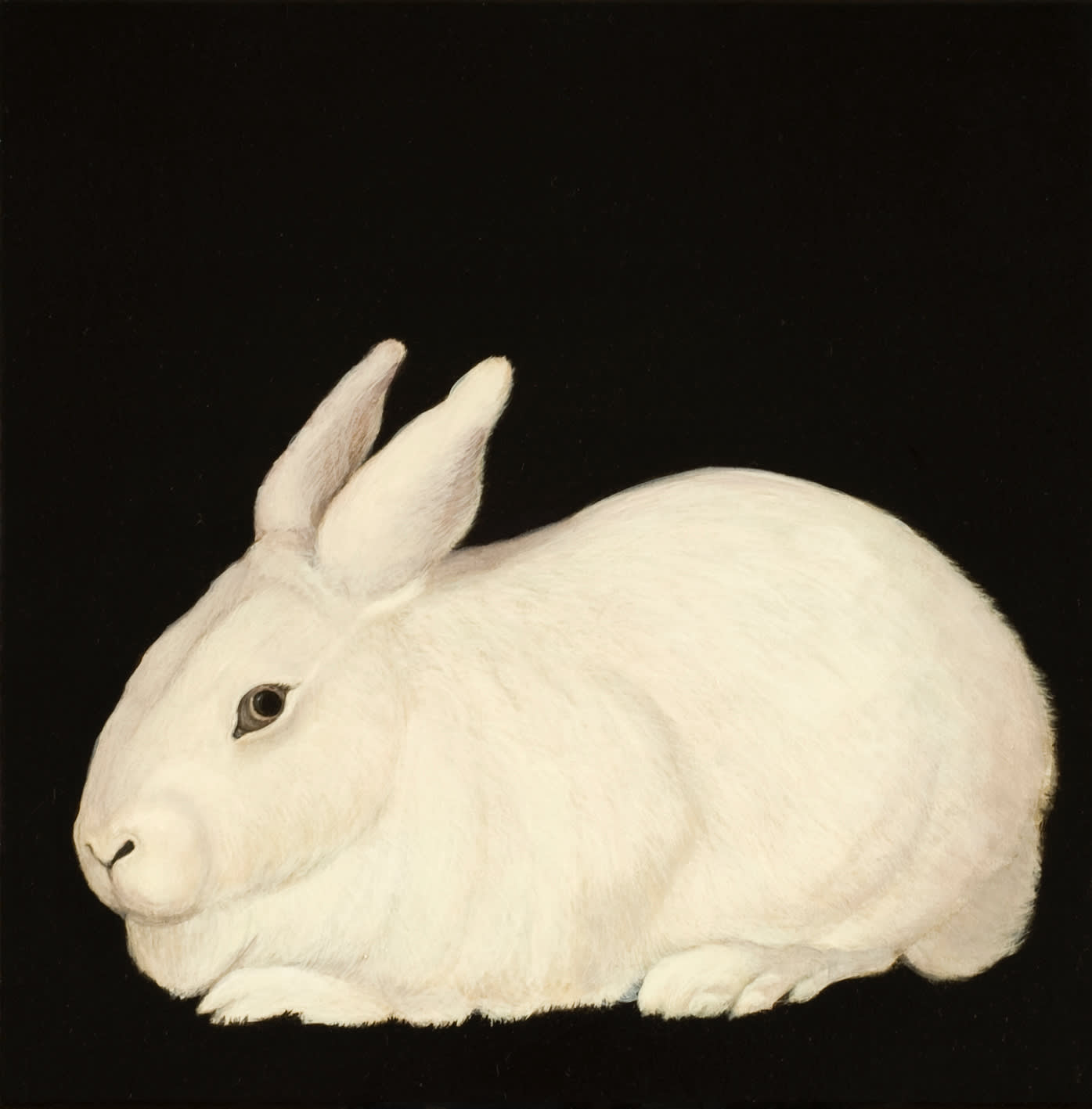 Helen Wright, Essence of bunny I, 2009