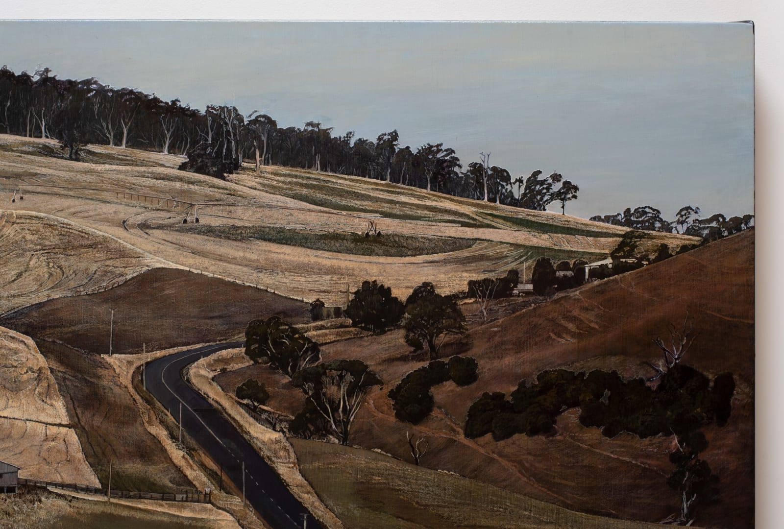 Stephanie Tabram, On Hollow Tree Road, 2023