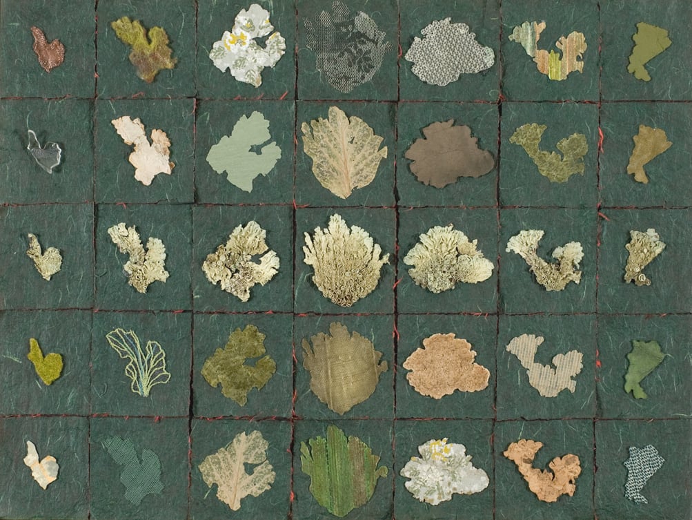 Irene Briant, The Shape of Lichen, 2013