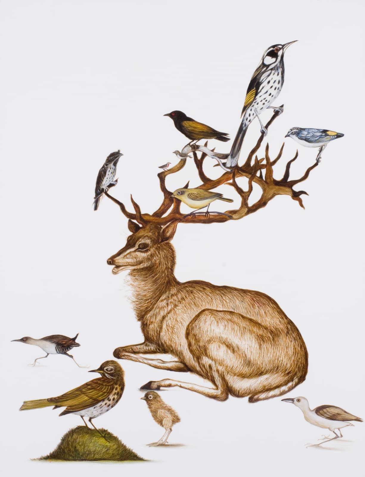 Helen Wright, Signs of life - the diminishing paradise II, 2009