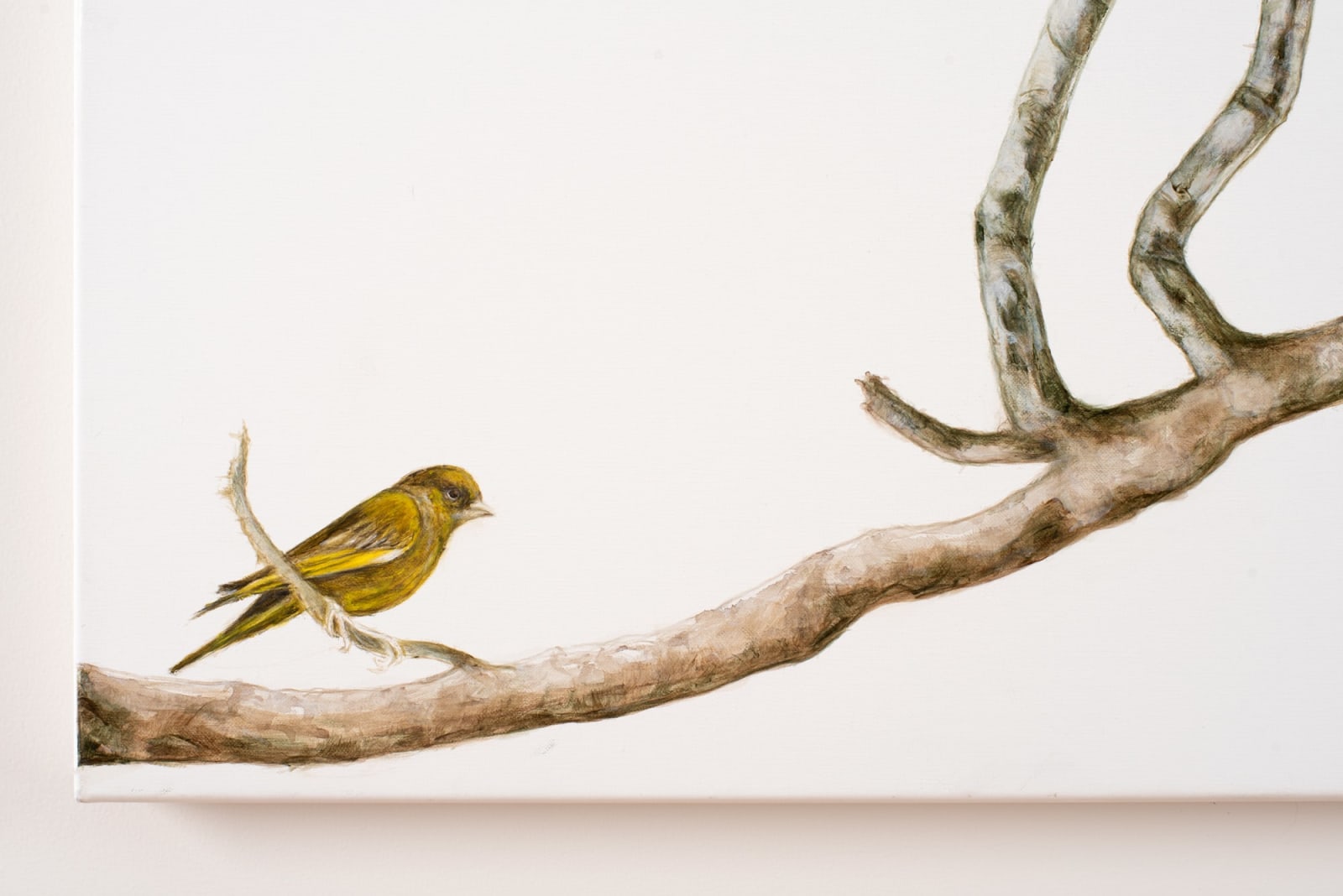 Helen Wright, Social club - some stories are worth telling, 2024