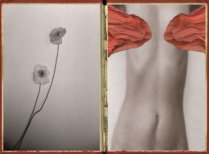 Pat Brassington, The Pressings #4, 2011