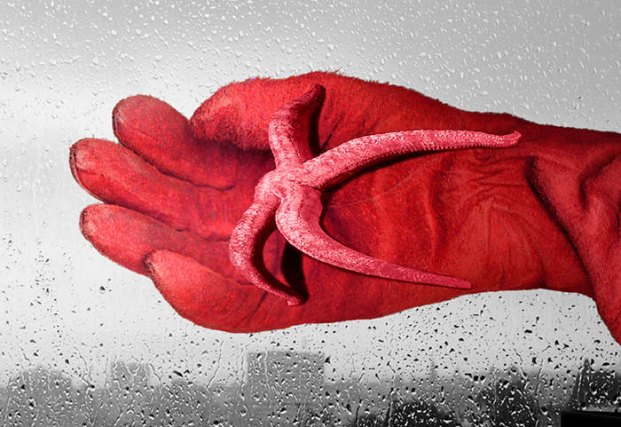 Pat Brassington, Postmark, 2010