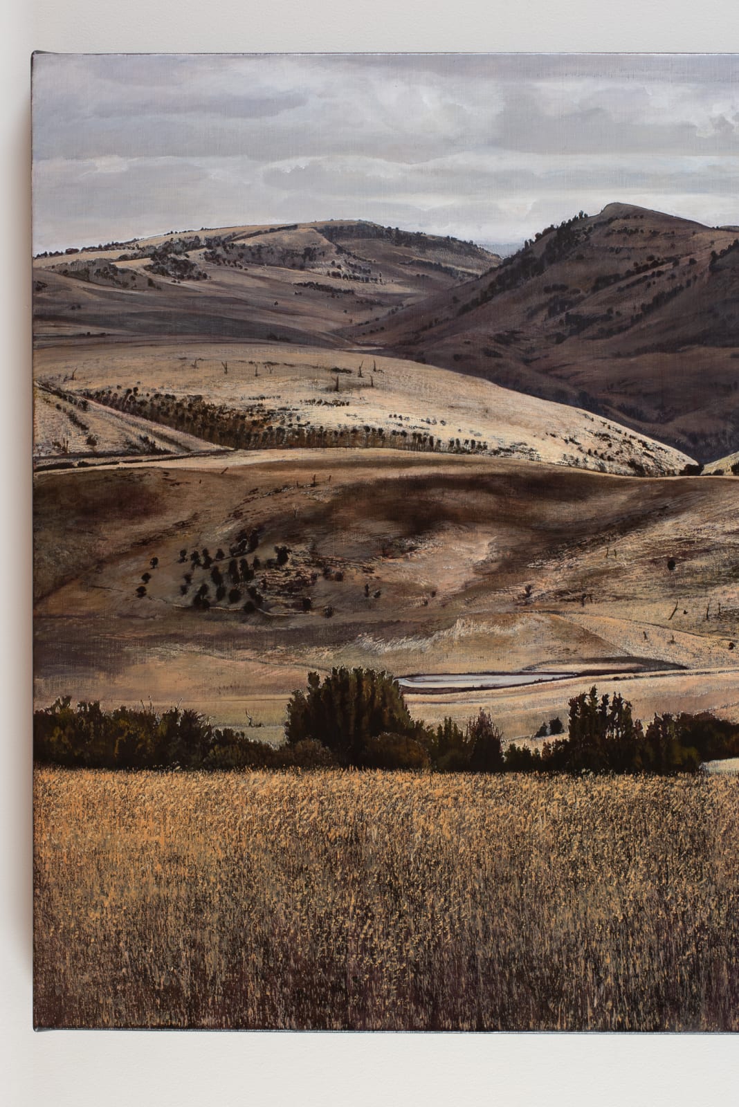 Stephanie Tabram, On Hamilton Plain, 2021