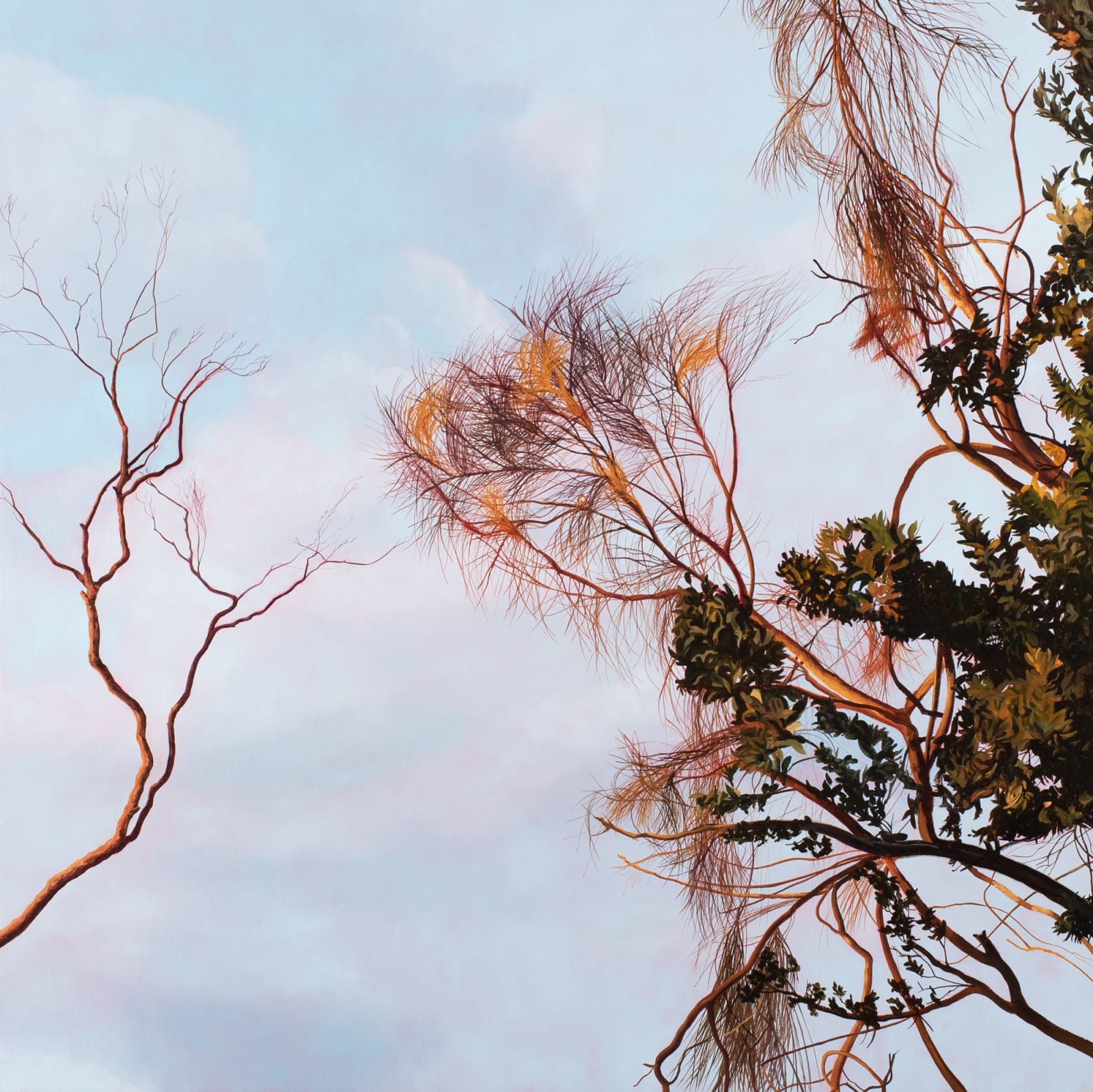 David Keeling, Morning detail. A favourable sky, 2022