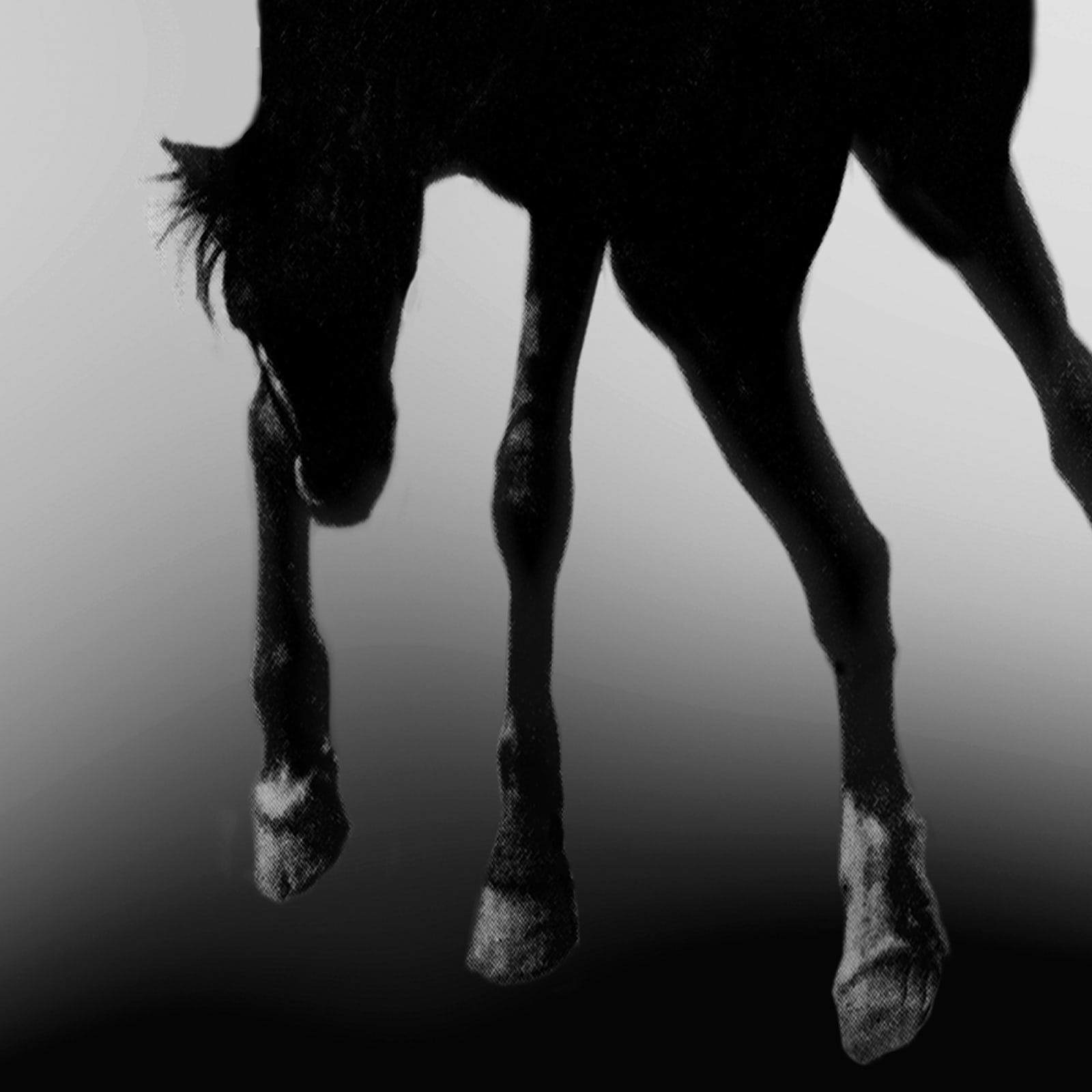 Pat Brassington, And it came to pass, 2020