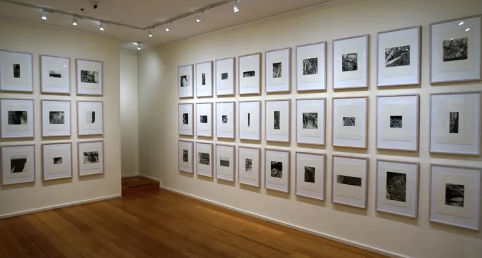 Raymond Arnold, Expanded Field, 2019