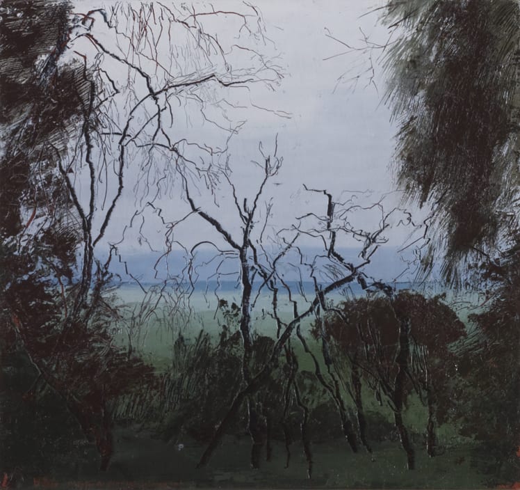 Philip Wolfhagen, Study for the Extended Journey No.01, 2009