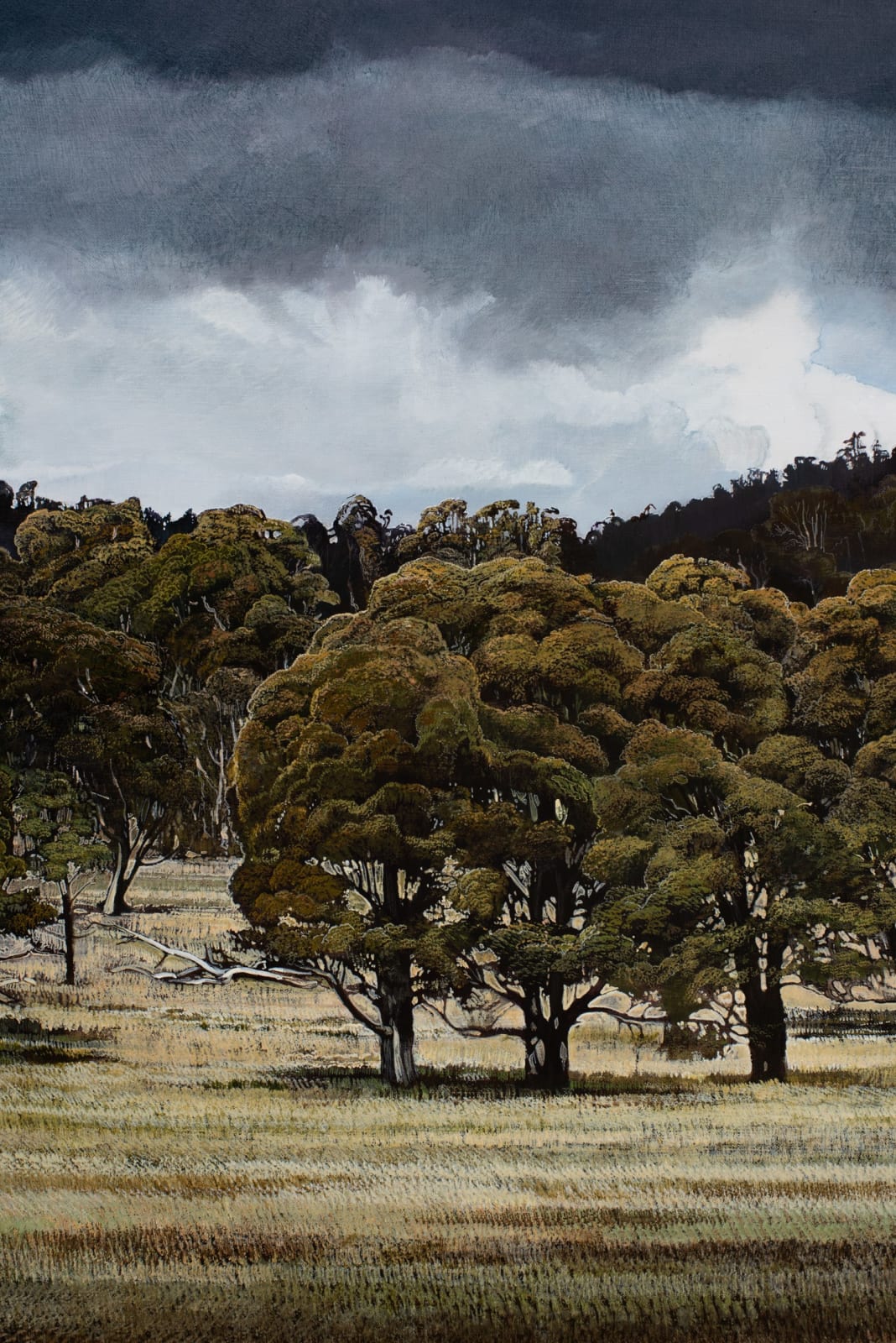 Stephanie Tabram, Passing Storm, 2022