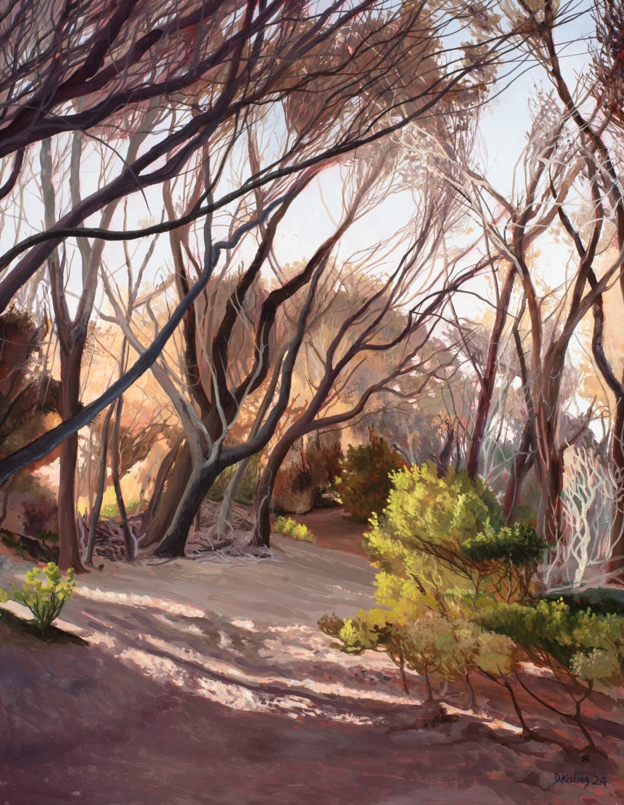 David Keeling, Shadowed walk, 2024