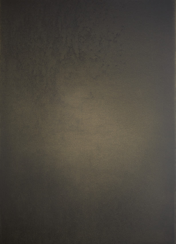 Sara Maher, The Feeling of She-oak, 2021