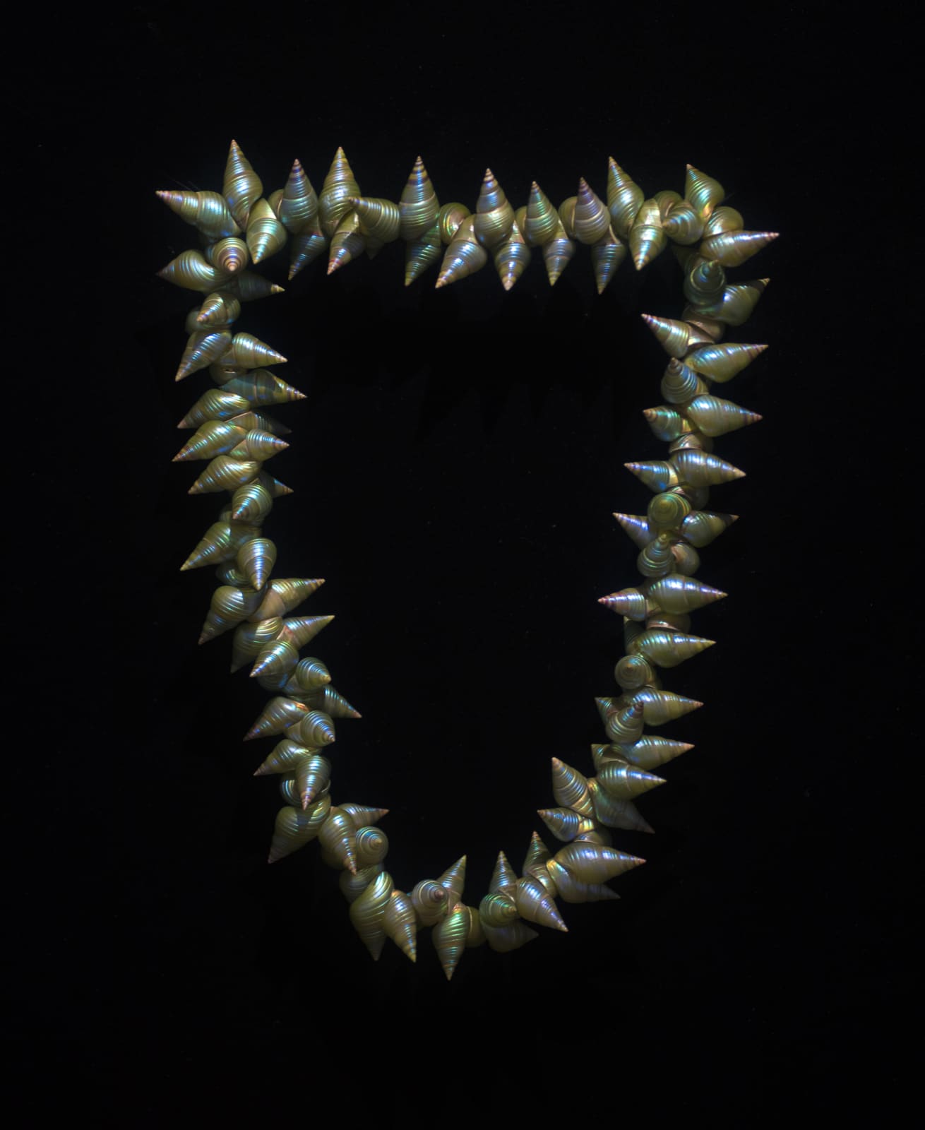 Ashlee Murray, King maireener shell necklace, 2017