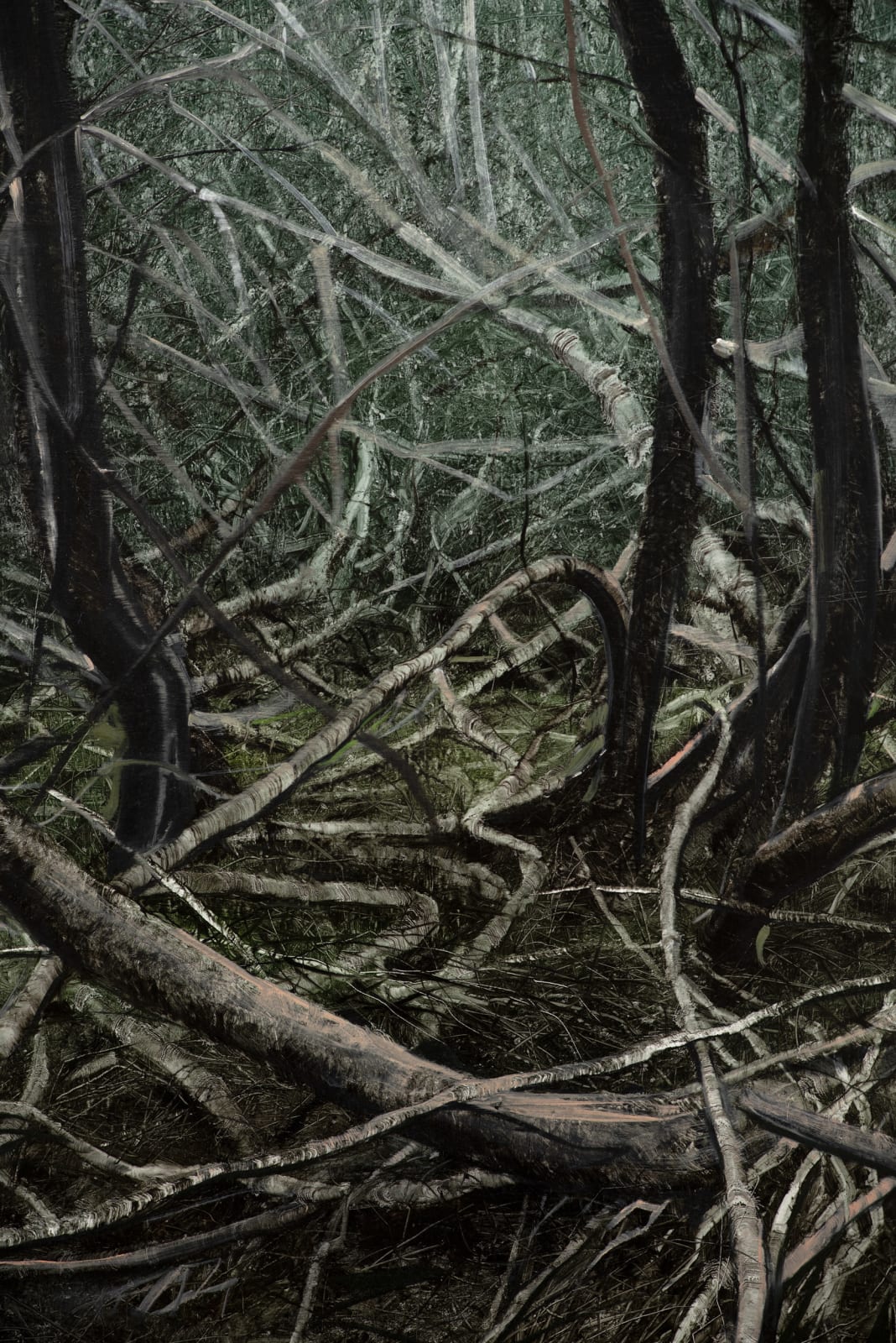 Nicholas Blowers, Narcissus, Lake St Claire, 2021