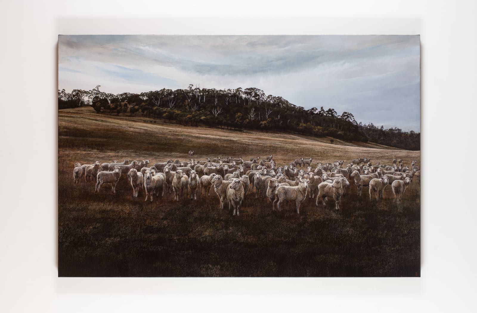 Stephanie Tabram, Wattle & Lamb, 2021