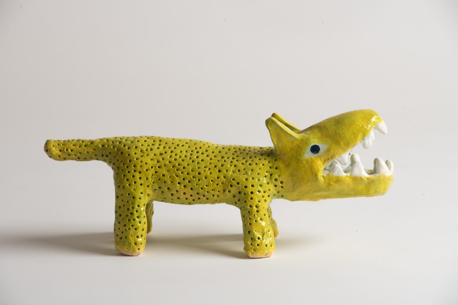 Tom O'Hern, Holy Dog, 2025