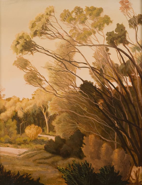David Keeling, Narawntapu track, 2010