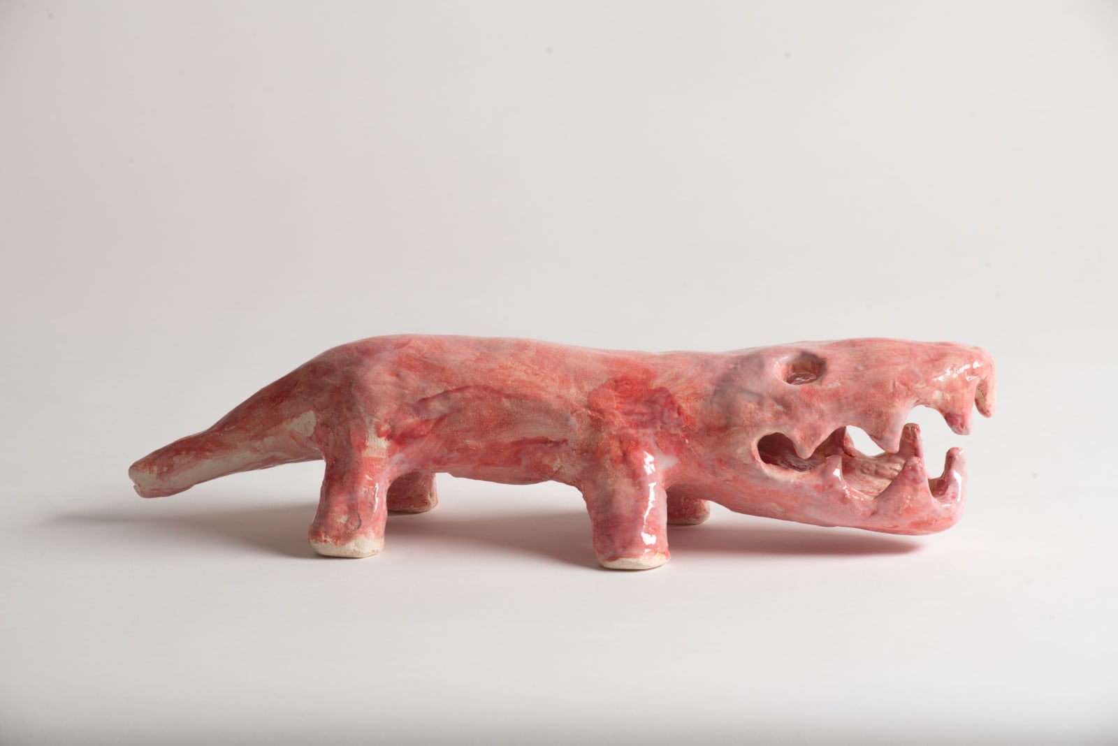 Tom O'Hern, Derwentia, 2025