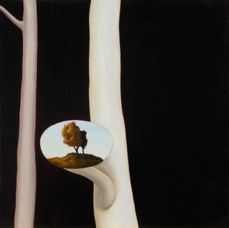 David Keeling, Ghost gum I, 2010