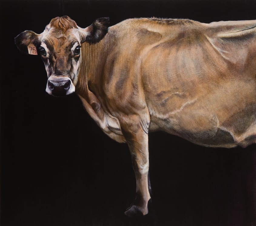 Stephanie Tabram, Jersey Girl, 2016