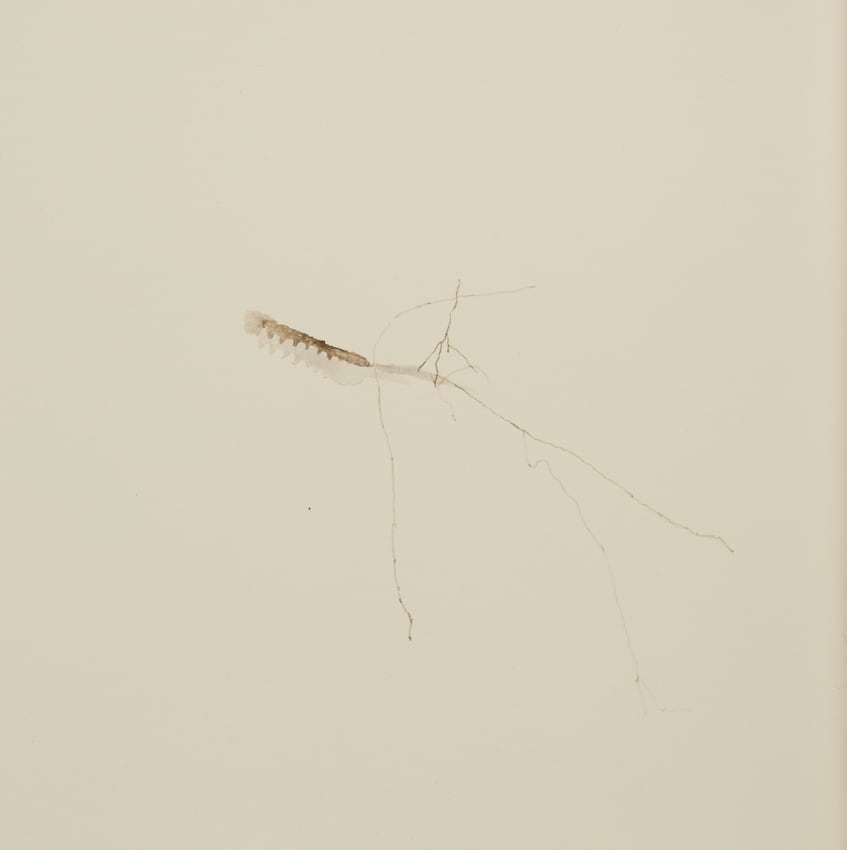 Sara Maher, untitled, 2020
