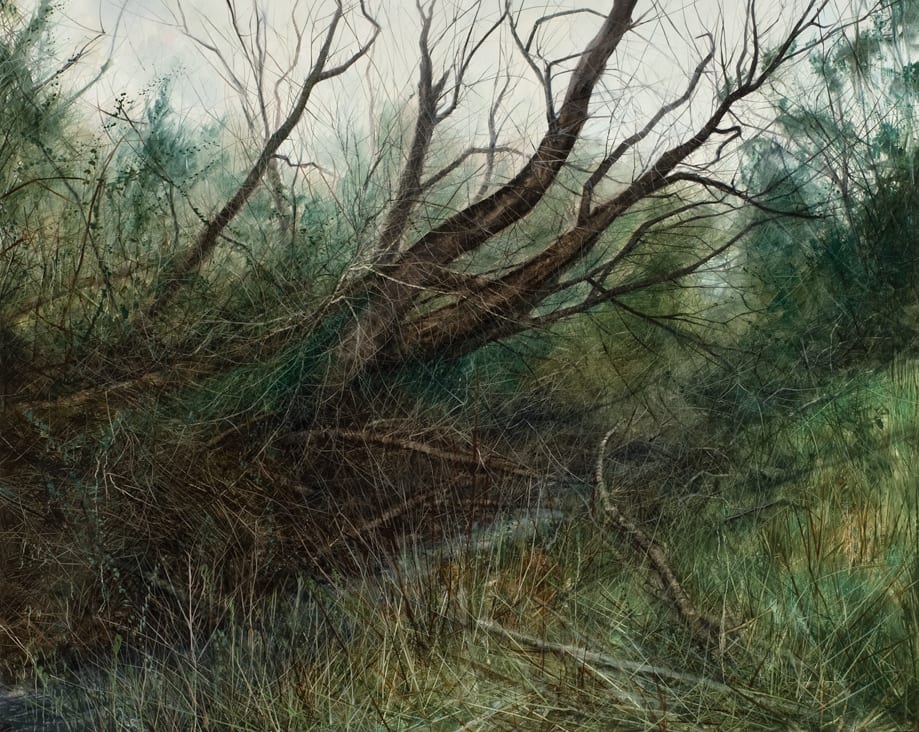 Nicholas Blowers, Collapsing Winter Willow, 2011