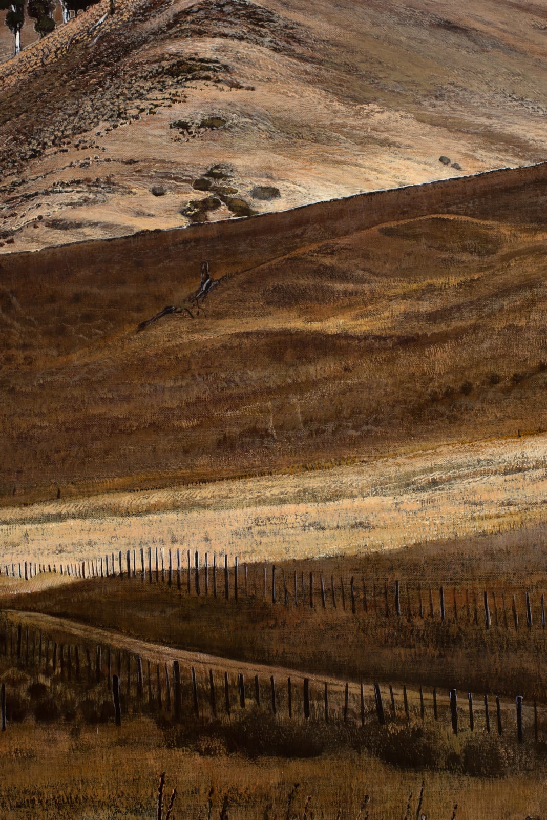 Stephanie Tabram, The Sign, 2021