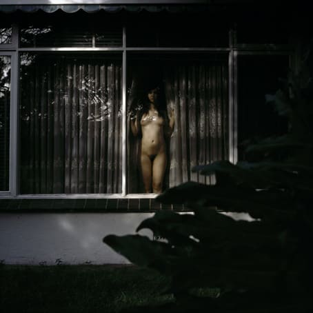 Jane Burton, Available Light 3, 2003