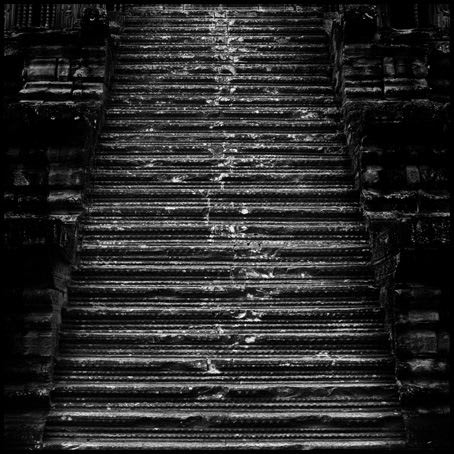 Jane Burton, The Fall 5, 2004