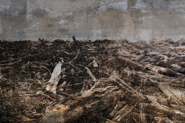 Troy Ruffels, Inundation anf flood, 2017