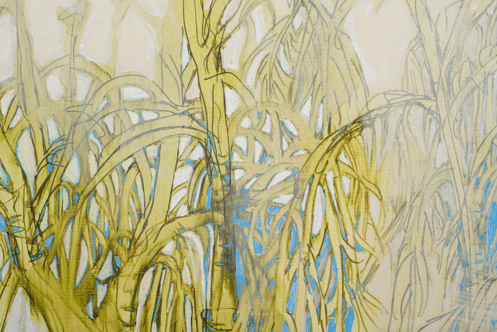 Caroline Rannersberger, Huon pine wide 1, 2022