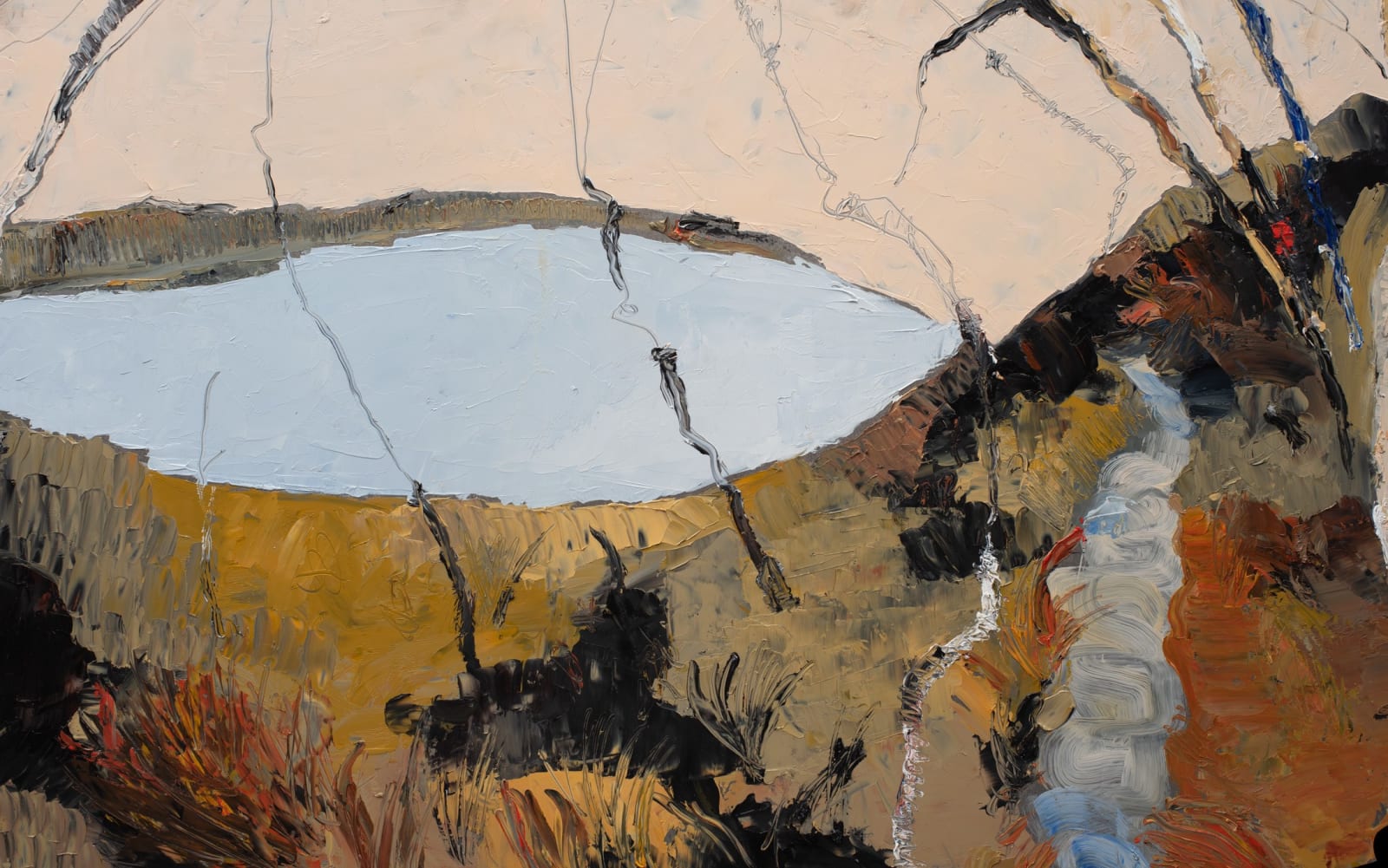 Kate Lewis, South Arm Conservation Area, 2023