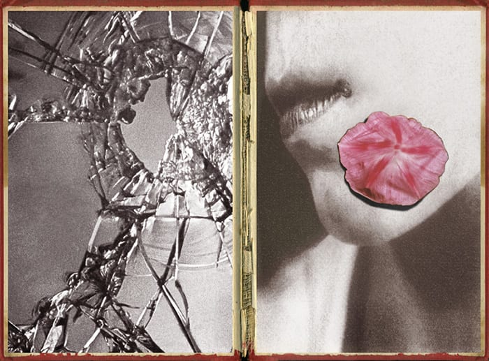 Pat Brassington, The Pressings #8, 2011