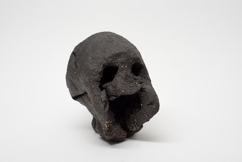 Locust Jones, Self Report 28, 2016