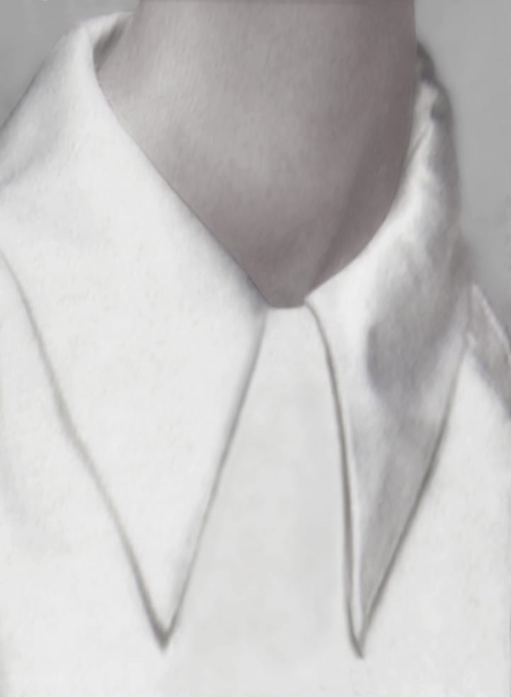 Pat Brassington, The Guest, 2013