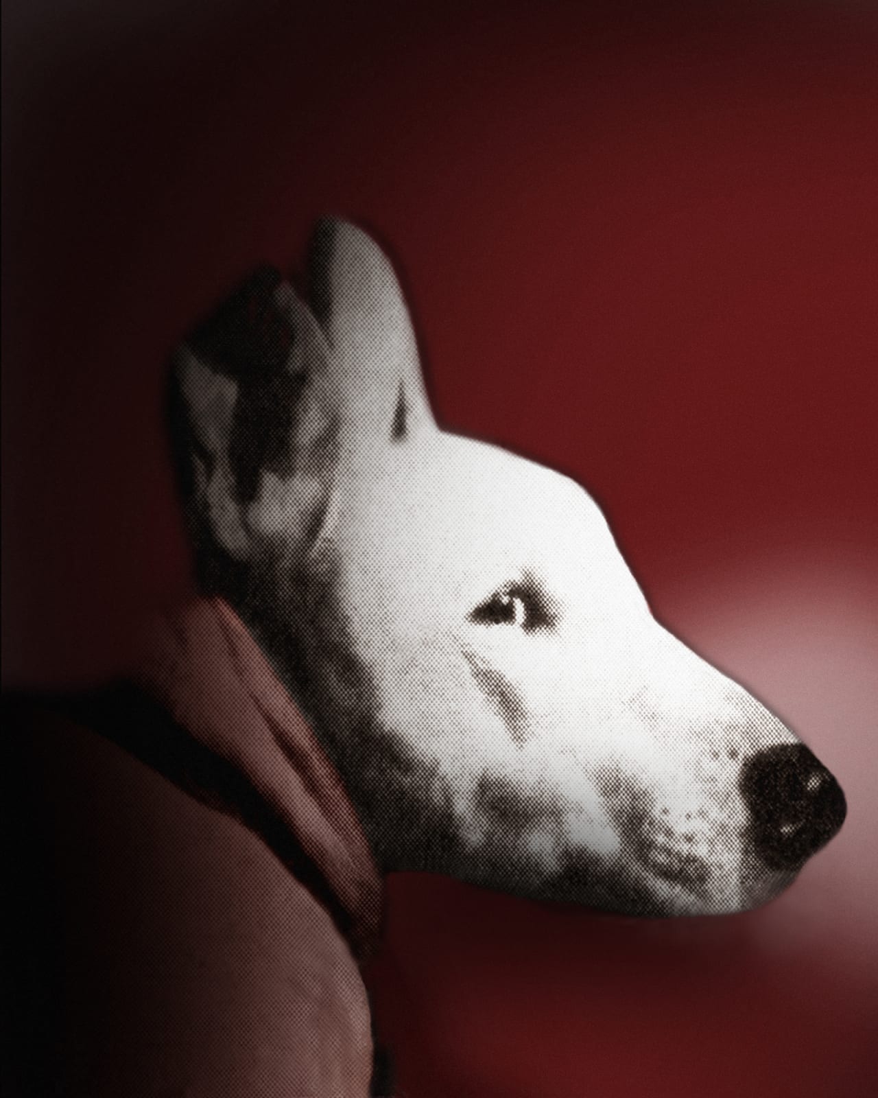 Pat Brassington, Agnes, 2022