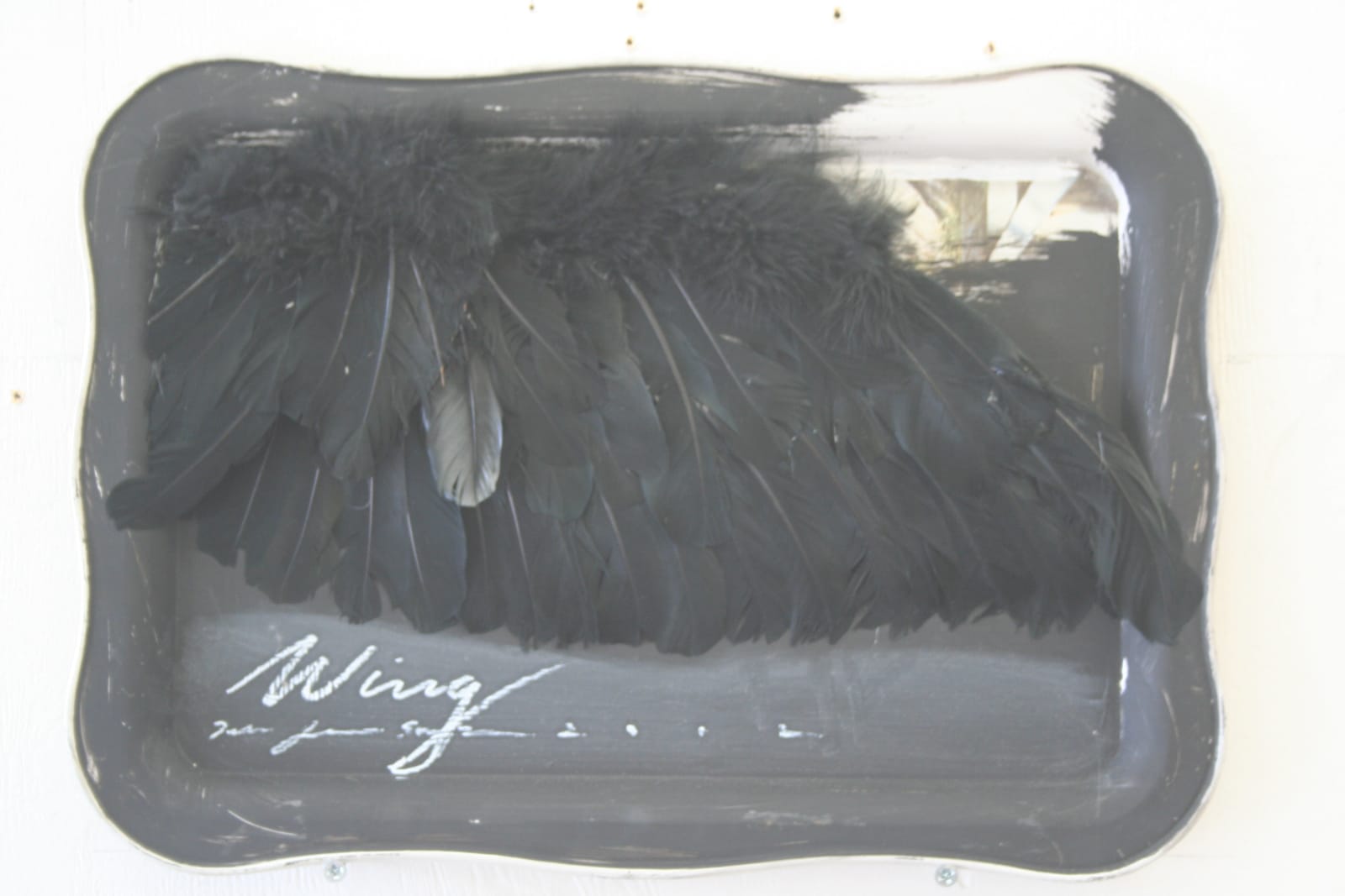 Peter James Smith, Wing, 2013