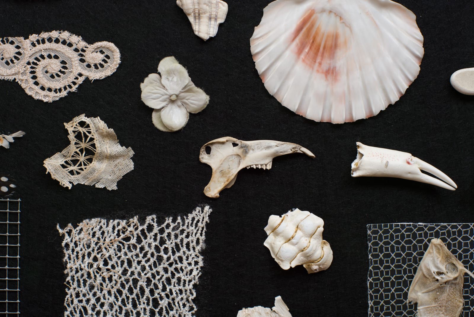 Irene Briant, Full of their own Small Destinies 1, 2021