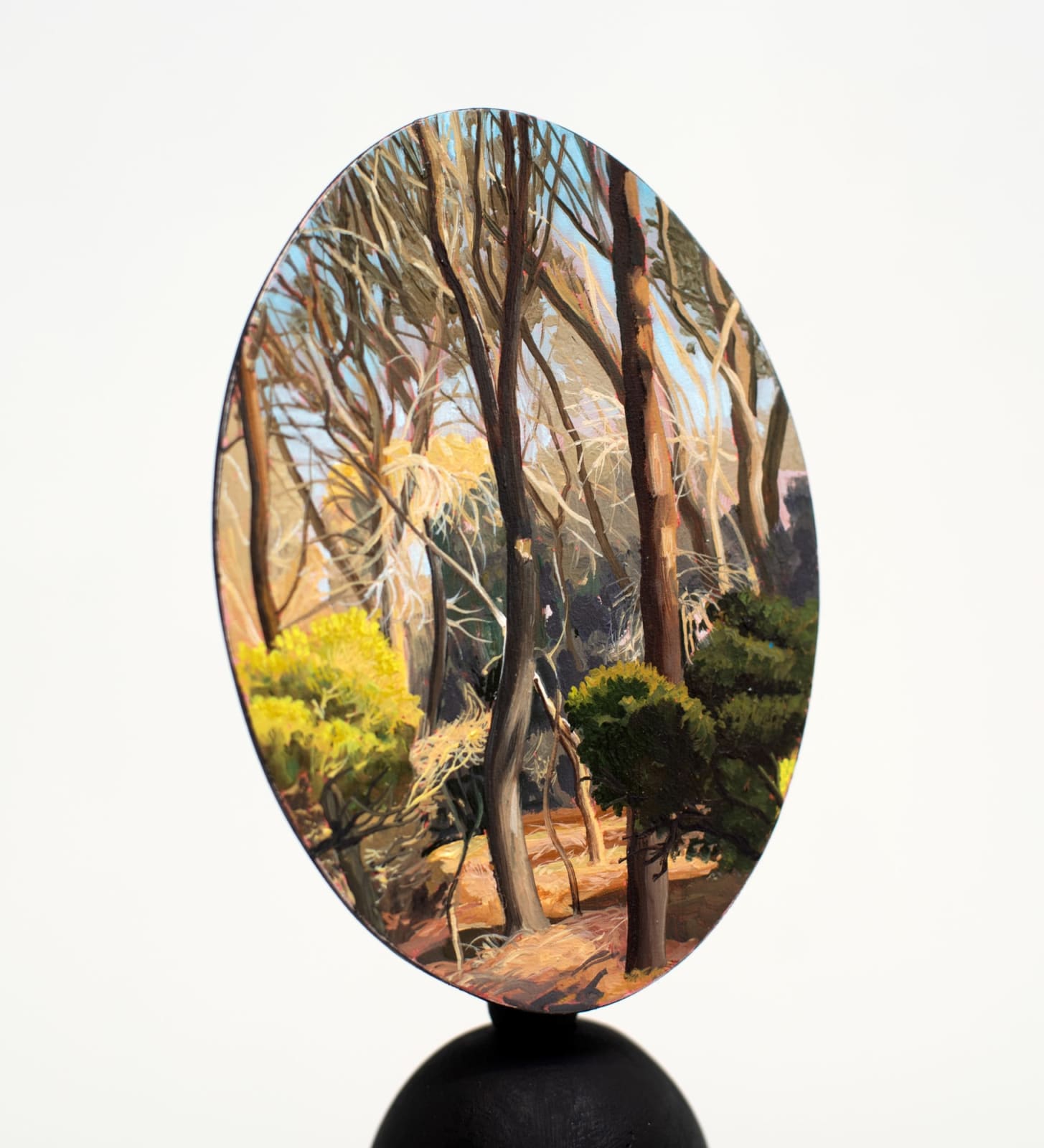 David Keeling, Sentinels 14, 2024