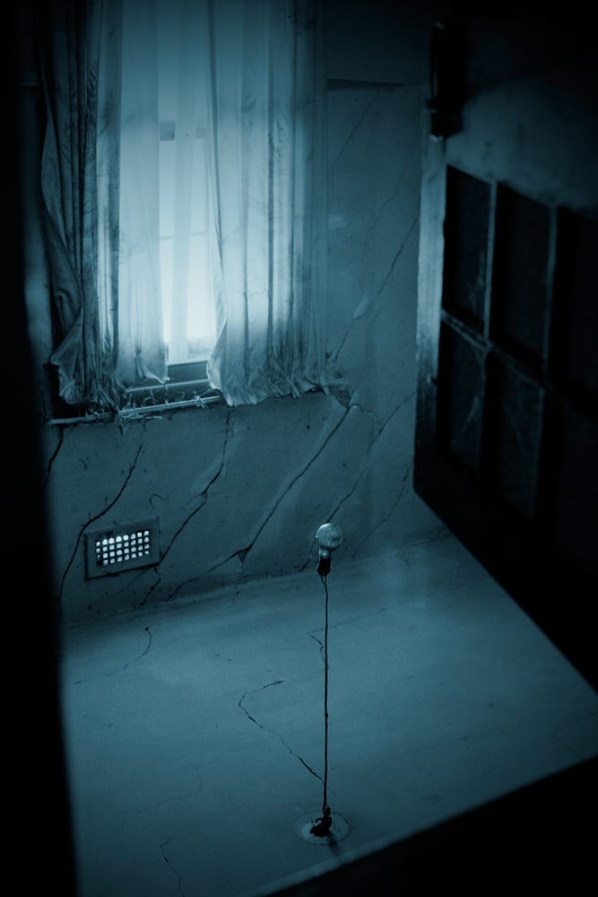 Jane Burton, Sleep has his house #6, 2011