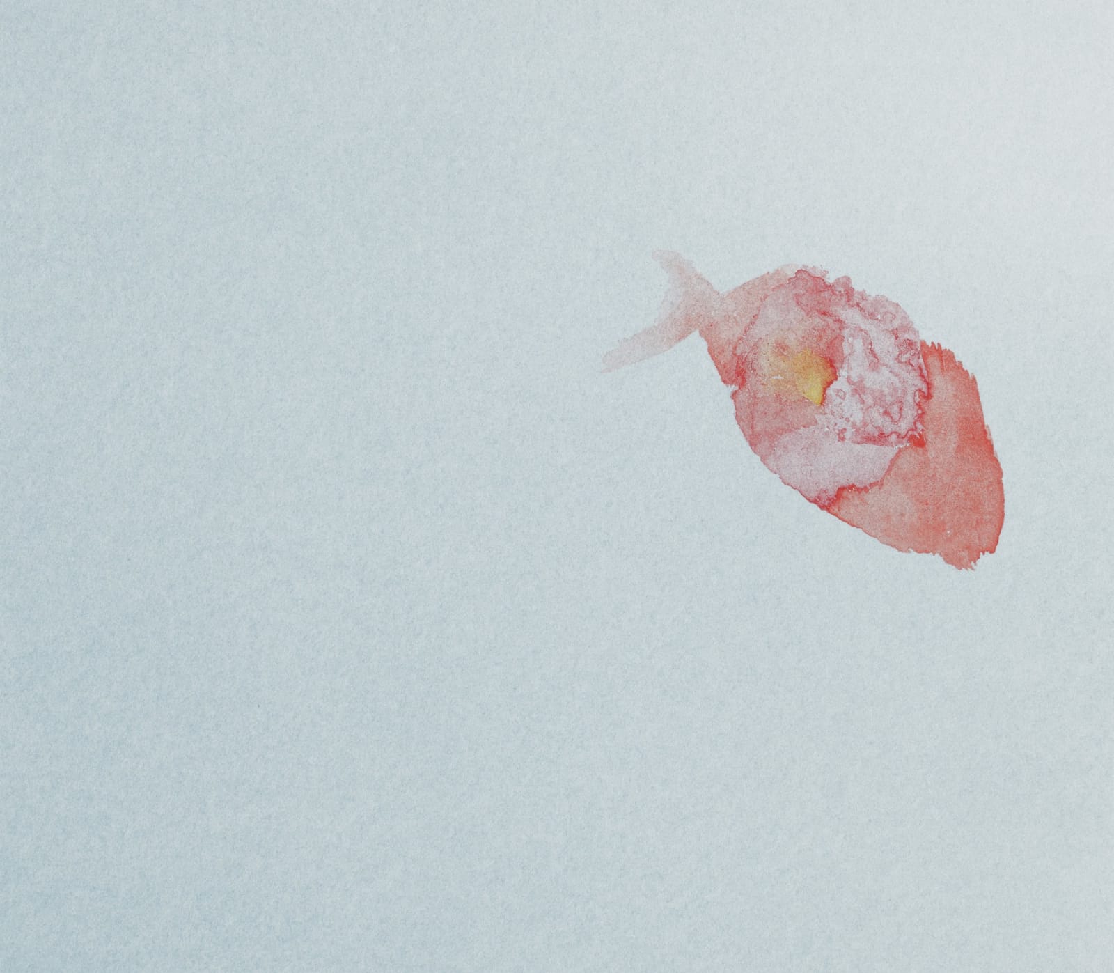 Sara Maher, Christmas Aquarium, 2023