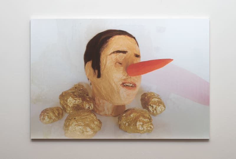 Mish Meijers, Stay Gold Pony, 2014