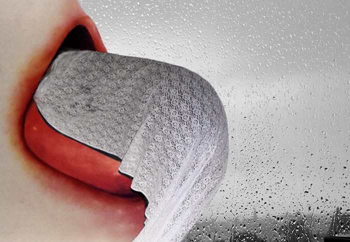 Pat Brassington, Camouflage, 2010