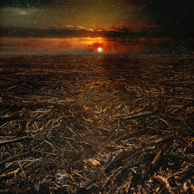 Troy Ruffels, Flood#7, 2011